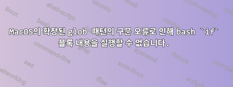 MacOS의 확장된 glob 패턴의 구문 오류로 인해 bash `if` 블록 내용을 실행할 수 없습니다.