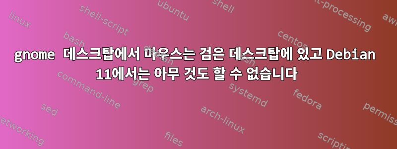 gnome 데스크탑에서 마우스는 검은 데스크탑에 있고 Debian 11에서는 아무 것도 할 수 없습니다