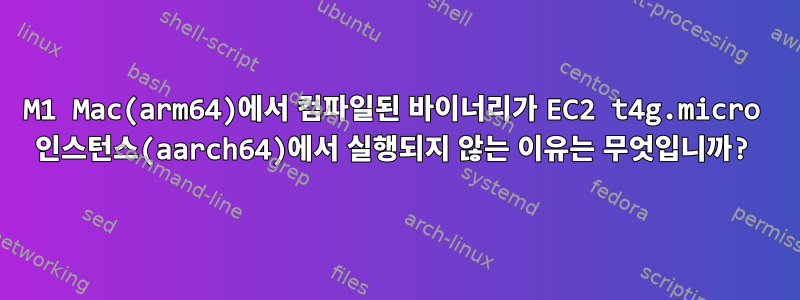 M1 Mac(arm64)에서 컴파일된 바이너리가 EC2 t4g.micro 인스턴스(aarch64)에서 실행되지 않는 이유는 무엇입니까?