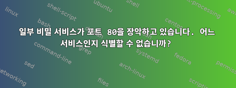 일부 비밀 서비스가 포트 80을 장악하고 있습니다. 어느 서비스인지 식별할 수 없습니까?