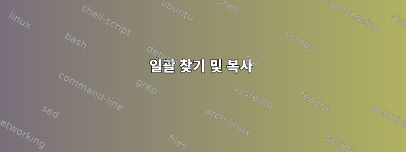 일괄 찾기 및 복사