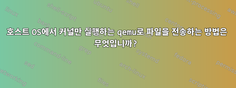 호스트 OS에서 커널만 실행하는 qemu로 파일을 전송하는 방법은 무엇입니까?