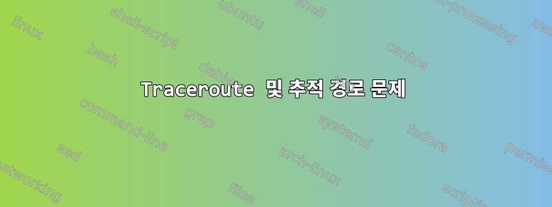 Traceroute 및 추적 경로 문제