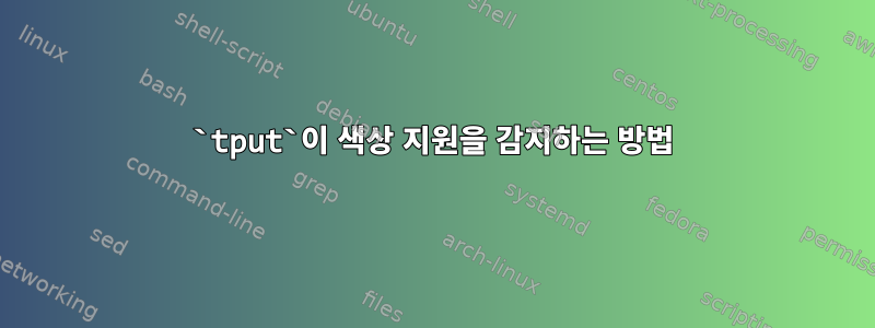 `tput`이 색상 지원을 감지하는 방법