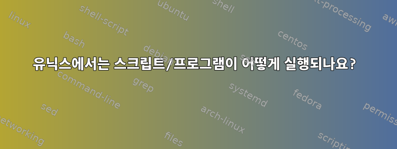 유닉스에서는 스크립트/프로그램이 어떻게 실행되나요?