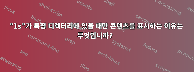 "ls"가 특정 디렉터리에 있을 때만 콘텐츠를 표시하는 이유는 무엇입니까?