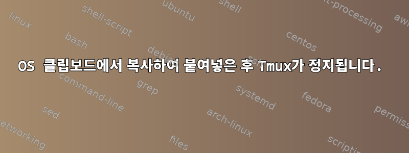 OS 클립보드에서 복사하여 붙여넣은 후 Tmux가 정지됩니다.