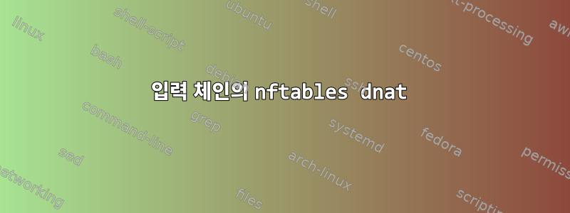 입력 체인의 nftables dnat