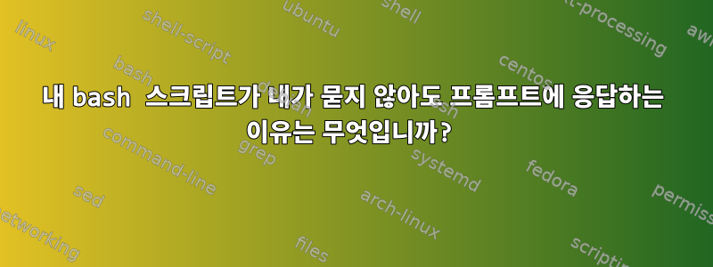 내 bash 스크립트가 내가 묻지 않아도 프롬프트에 응답하는 이유는 무엇입니까?