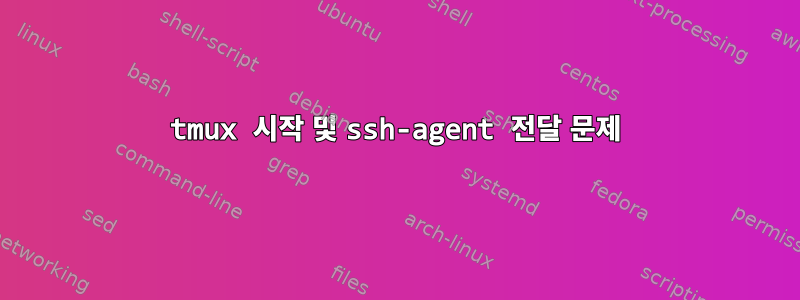 tmux 시작 및 ssh-agent 전달 문제