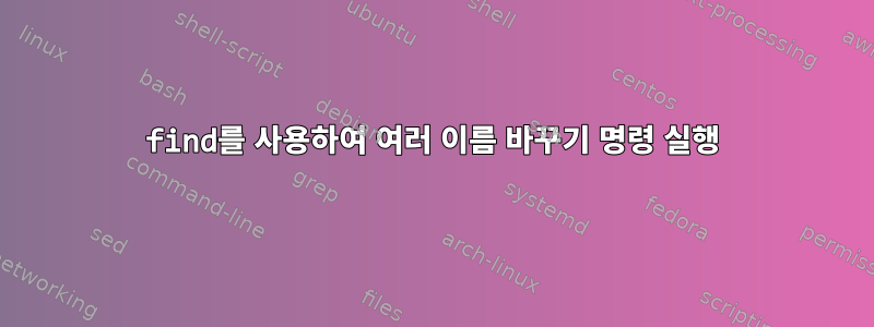 find를 사용하여 여러 이름 바꾸기 명령 실행