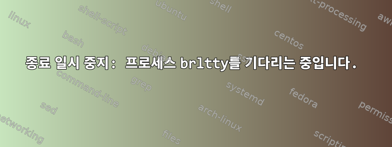 종료 일시 중지: 프로세스 brltty를 기다리는 중입니다.