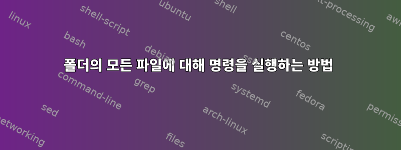 폴더의 모든 파일에 대해 명령을 실행하는 방법