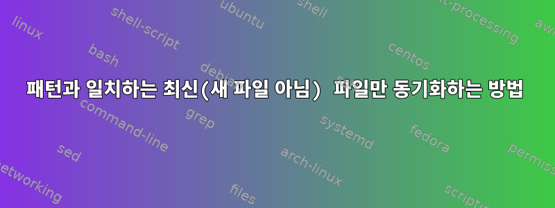 패턴과 일치하는 최신(새 파일 아님) 파일만 동기화하는 방법