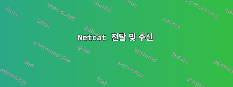 Netcat 전달 및 수신