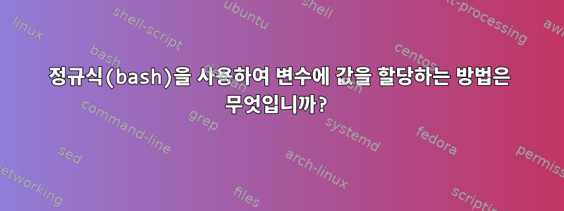 정규식(bash)을 사용하여 변수에 값을 할당하는 방법은 무엇입니까?