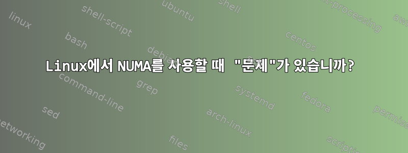 Linux에서 NUMA를 사용할 때 "문제"가 있습니까?