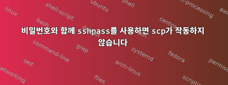 비밀번호와 함께 sshpass를 사용하면 scp가 작동하지 않습니다