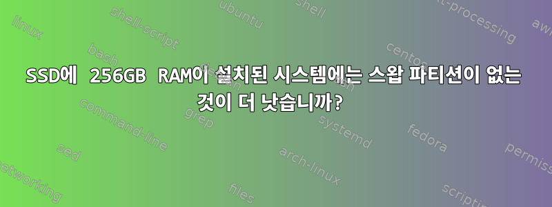 SSD에 256GB RAM이 설치된 시스템에는 스왑 파티션이 없는 것이 더 낫습니까?