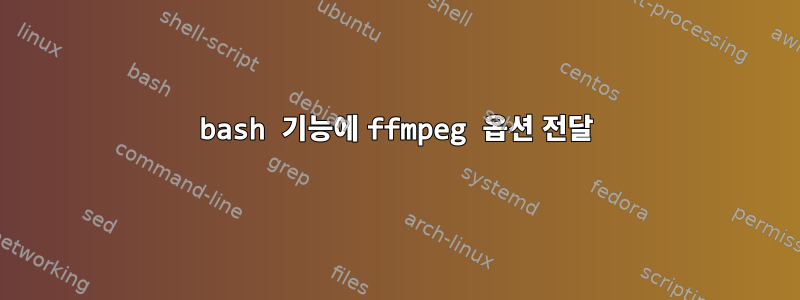 bash 기능에 ffmpeg 옵션 전달