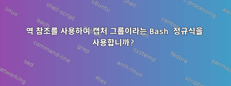 역 참조를 사용하여 캡처 그룹이라는 Bash 정규식을 사용합니까?