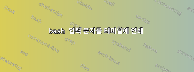 bash 입력 문자를 터미널에 인쇄