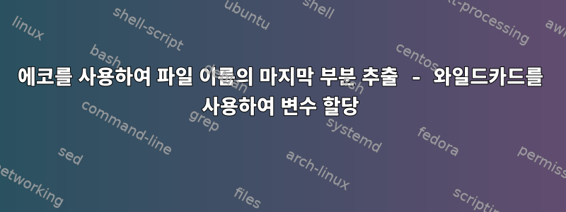 에코를 사용하여 파일 이름의 마지막 부분 추출 - 와일드카드를 사용하여 변수 할당