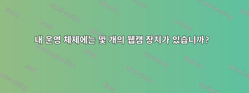 내 운영 체제에는 몇 개의 웹캠 장치가 있습니까?