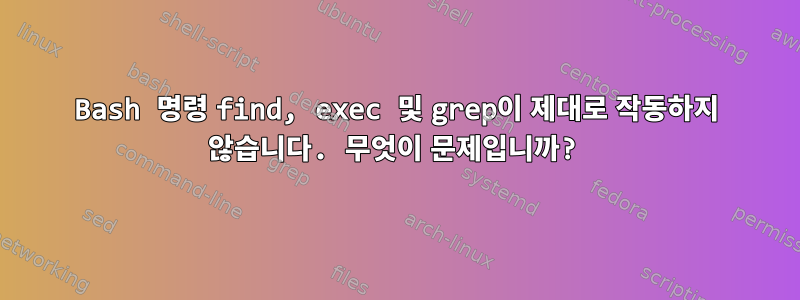 Bash 명령 find, exec 및 grep이 제대로 작동하지 않습니다. 무엇이 문제입니까?