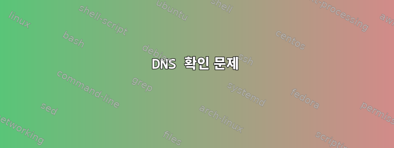 DNS 확인 문제