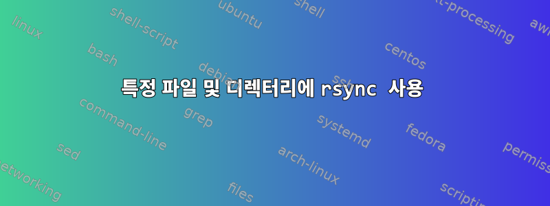 특정 파일 및 디렉터리에 rsync 사용