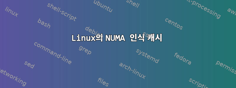 Linux의 NUMA 인식 캐시