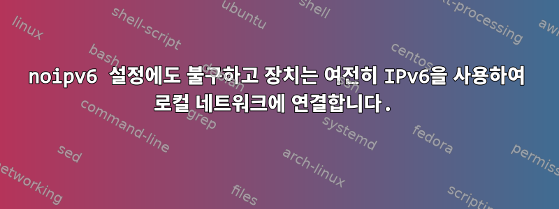 noipv6 설정에도 불구하고 장치는 여전히 IPv6을 사용하여 로컬 네트워크에 연결합니다.