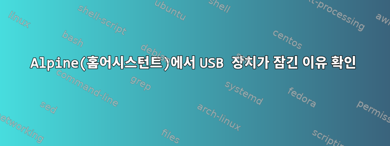 Alpine(홈어시스턴트)에서 USB 장치가 잠긴 이유 확인