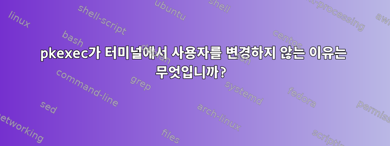 pkexec가 터미널에서 사용자를 변경하지 않는 이유는 무엇입니까?