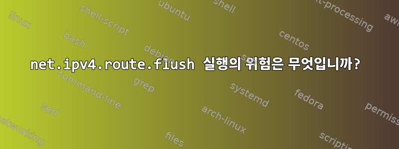 net.ipv4.route.flush 실행의 위험은 무엇입니까?