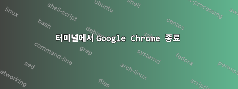 터미널에서 Google Chrome 종료