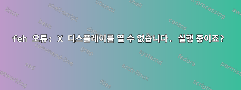 feh 오류: X 디스플레이를 열 수 없습니다. 실행 중이죠?