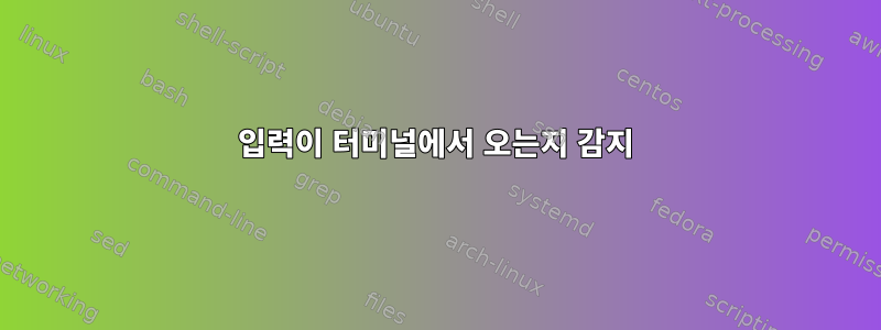 입력이 터미널에서 오는지 감지