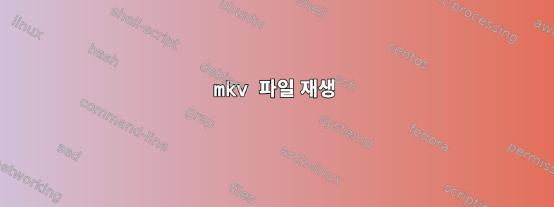 mkv 파일 재생