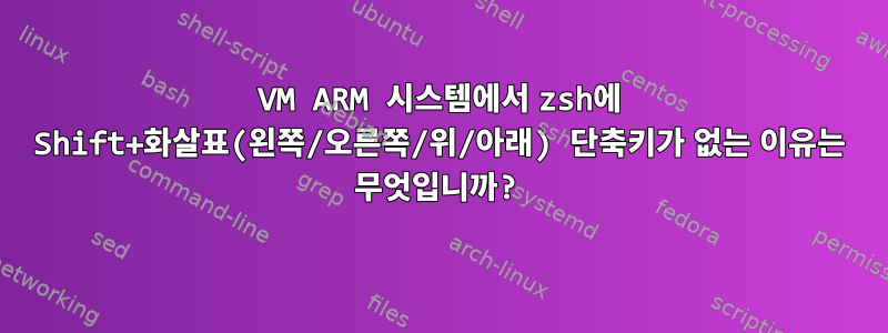 VM ARM 시스템에서 zsh에 Shift+화살표(왼쪽/오른쪽/위/아래) 단축키가 없는 이유는 무엇입니까?