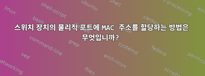 스위치 장치의 물리적 포트에 MAC 주소를 할당하는 방법은 무엇입니까?