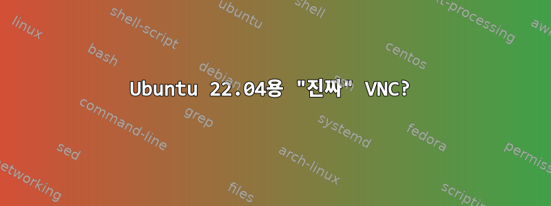 Ubuntu 22.04용 "진짜" VNC?