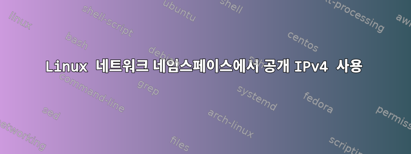 Linux 네트워크 네임스페이스에서 공개 IPv4 사용