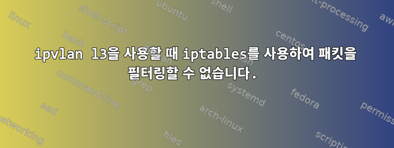 ipvlan l3을 사용할 때 iptables를 사용하여 패킷을 필터링할 수 없습니다.