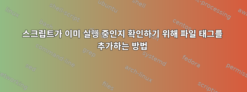 스크립트가 이미 실행 중인지 확인하기 위해 파일 태그를 추가하는 방법