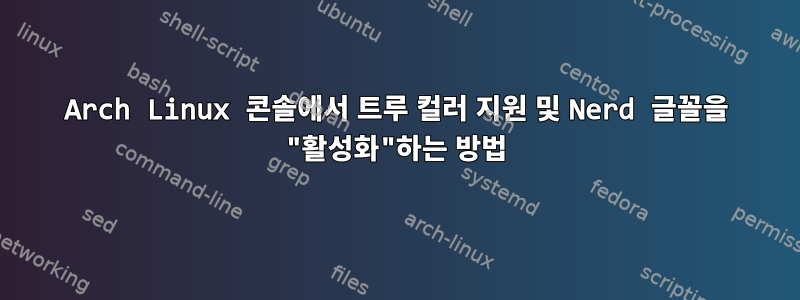 Arch Linux 콘솔에서 트루 컬러 지원 및 Nerd 글꼴을 "활성화"하는 방법