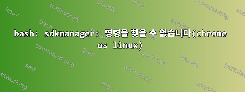 bash: sdkmanager: 명령을 찾을 수 없습니다(chrome os linux)