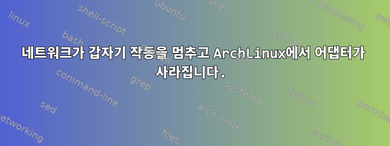 네트워크가 갑자기 작동을 멈추고 ArchLinux에서 어댑터가 사라집니다.