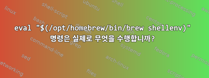 eval "$(/opt/homebrew/bin/brew shellenv)" 명령은 실제로 무엇을 수행합니까?